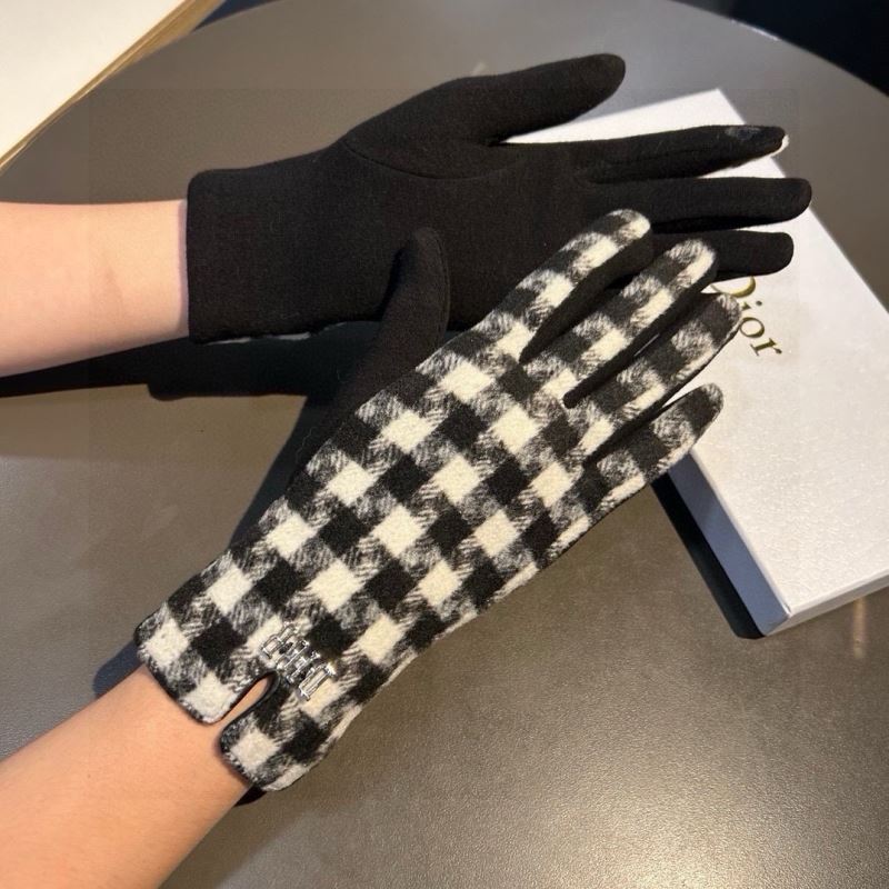 Christian Dior Gloves